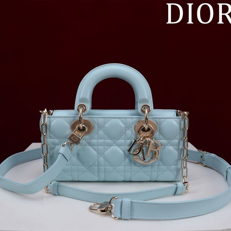 chr1st1an D10r my lady bags